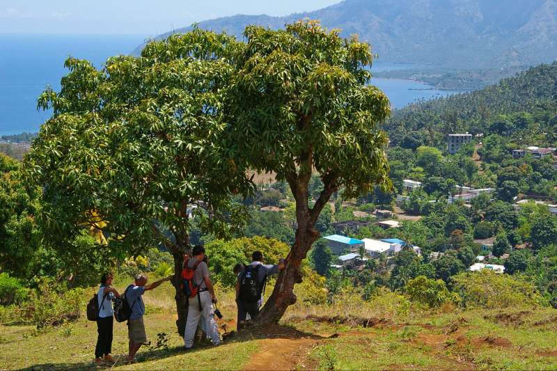 rencontre avec filles comores