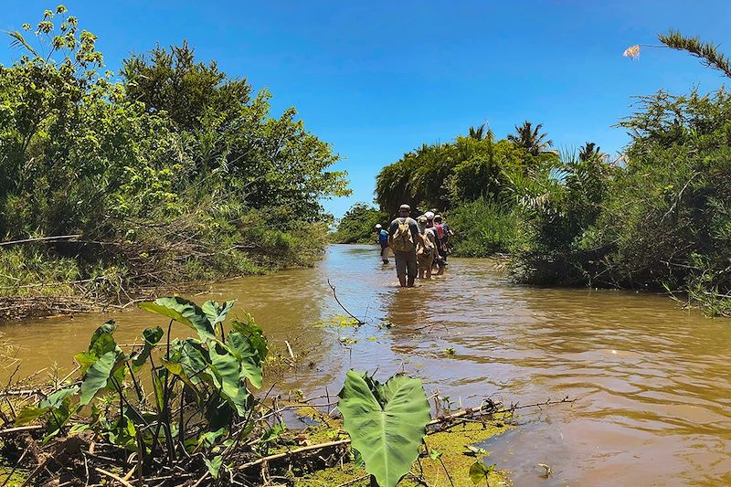 Traversée de la rivière Saharenana - Nord de Madagascar