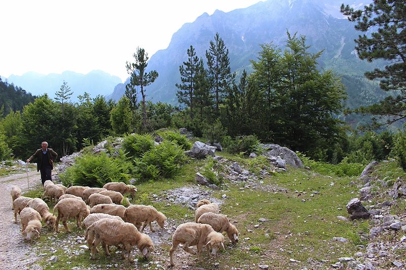 Road trip en Albanie, Monténégro, Kosovo en tente de toit sur deux semaines avec nuits en camping ou camping sauvage 