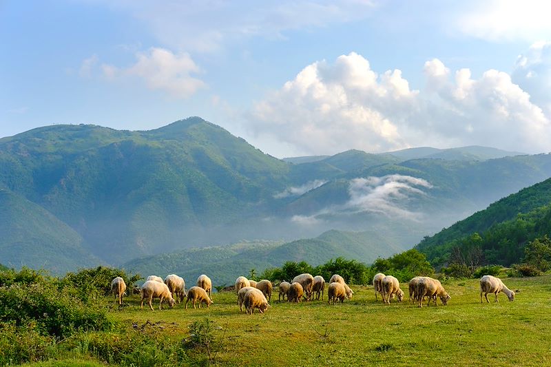 Randonnée dans l'arrière pays albanais de Shengjergj à Lin avec nuits en guesthouse, chez l'habitant et en bergerie