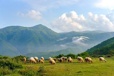 voyage Ma vie de berger en Albanie