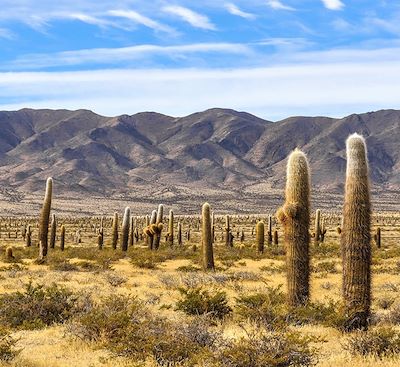 Trek et randonnée Argentine