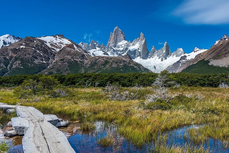 Fitz Roy - Parc National Los Glaciares - Patagonie - Argentine