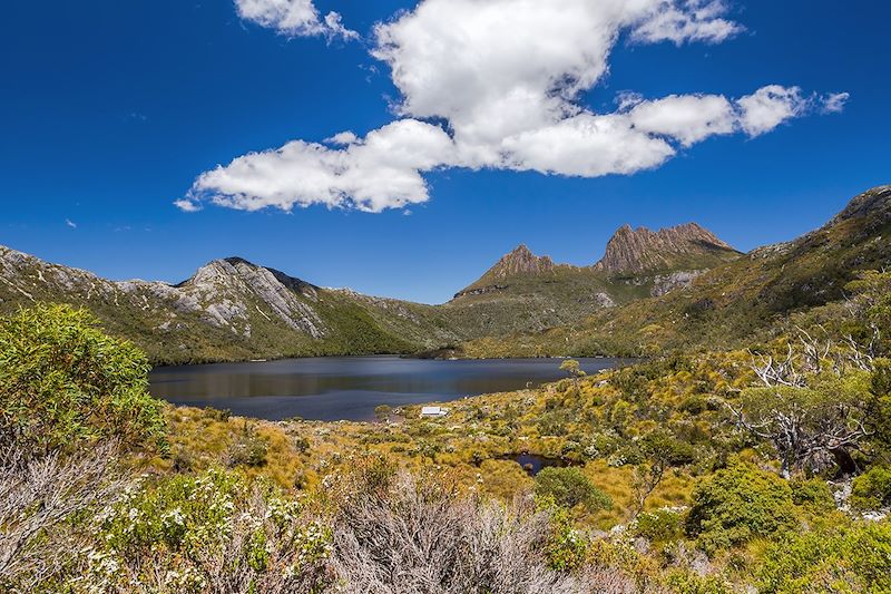 Cradle Mountain - Tasmanie - Australie
