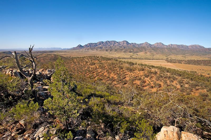 Wilpena Pound - Flinders Ranges - Australie