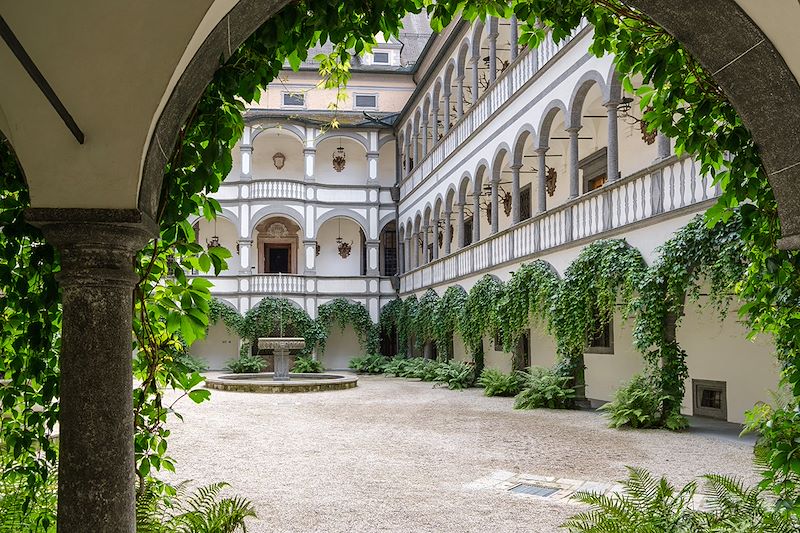 Château de Greinburg - Strudengau - Autriche