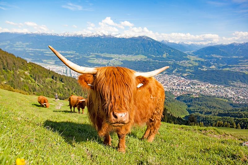 Voyage en train de Paris au Tyrol en passant par Vienne, Salzburg et Innsbruck, sans oublier une halte à Zurich au retour