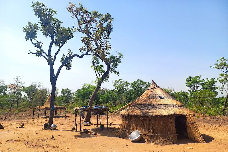 Voyage d'aventure au Bénin et au Togo du nord au sud : hauts plateaux du Togo, Tatas Sombas, royaume d'Abomey, Ouidah et Ganvie !