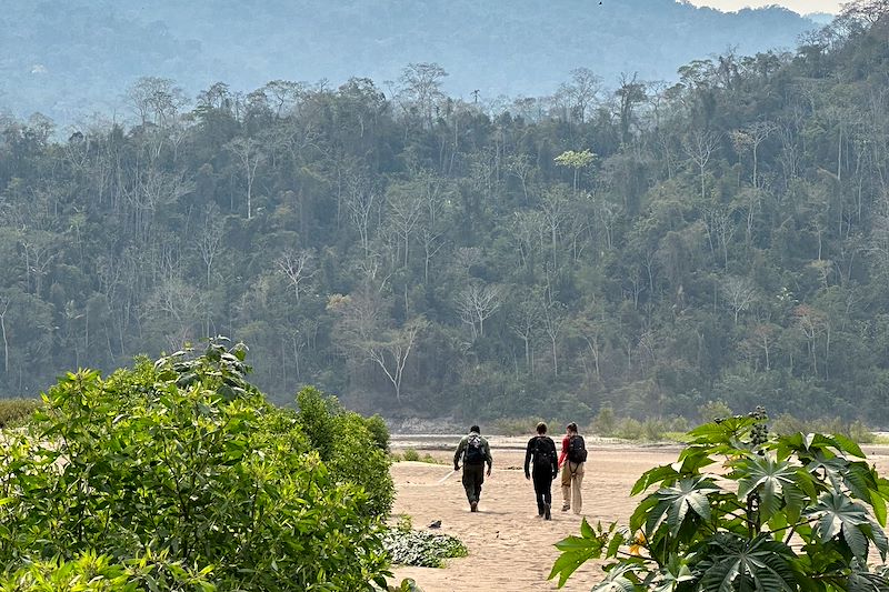 Expédition immersive en territoire inexploré et découvertes à travers les yeux de nos hôtes indigènes... Le trip de la jungle !