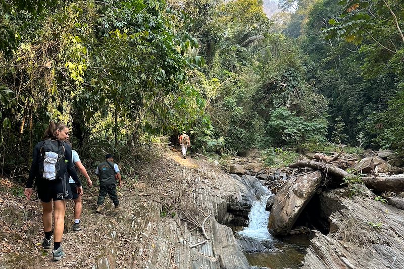 Expédition immersive en territoire inexploré et découvertes à travers les yeux de nos hôtes indigènes... Le trip de la jungle !