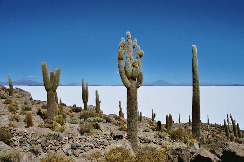 Multiactivités en famille, des fabuleux espaces du Sud Lipez aux rives vivifiantes du Titicaca, via les balcons de l’Amazonie !