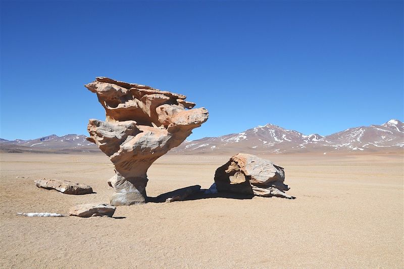 Arbre de pierre - Sud Lipez - Bolivie