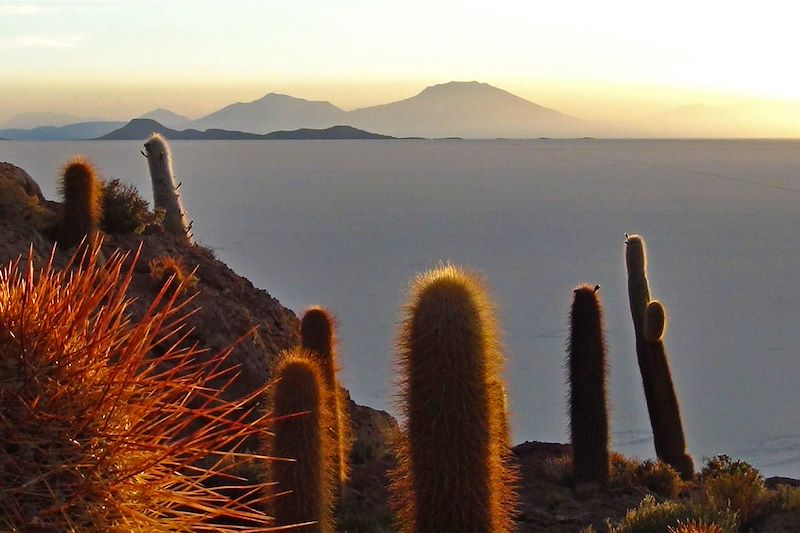 Couleurs et contrastes, des grands espaces du fabuleux Sud Lipez aux rives vivifiantes du Titicaca, via les cités Sucre et Potosi.