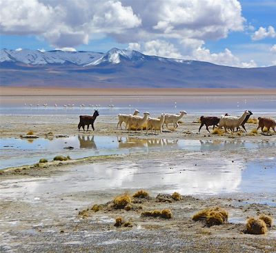 Voyages sur mesure Bolivie