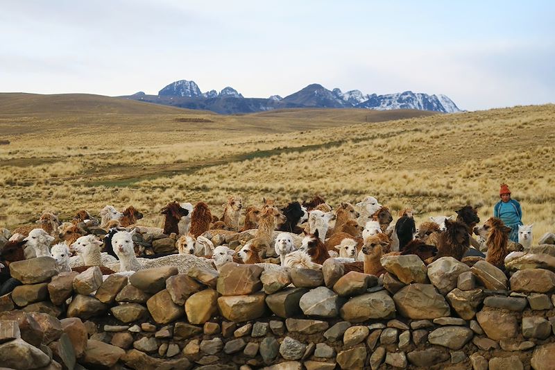 Trek exclusif à travers les Andes, du lac Titicaca jusqu'aux Yungas, balcons de l'Amazonie... 100% à pied !