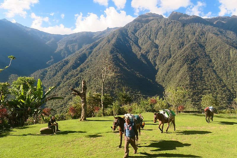 Trek exclusif à travers les Andes, du lac Titicaca jusqu'aux Yungas, balcons de l'Amazonie... 100% à pied !