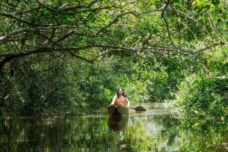 Amazonie - Brésil