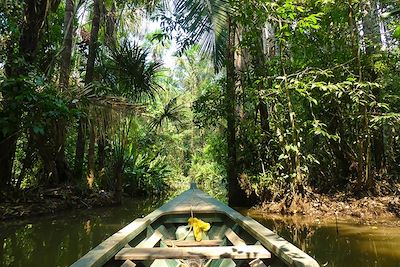 voyage Amazonie Sans Frontières