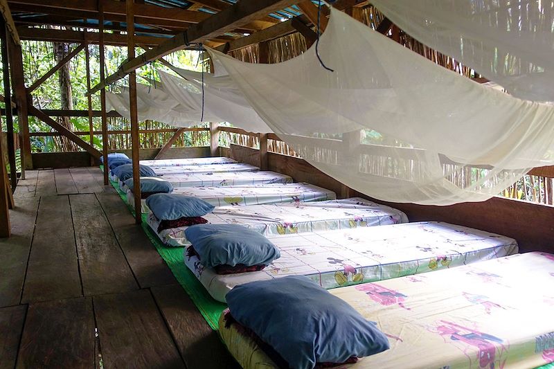 Hébergement dans la forêt amazonienne