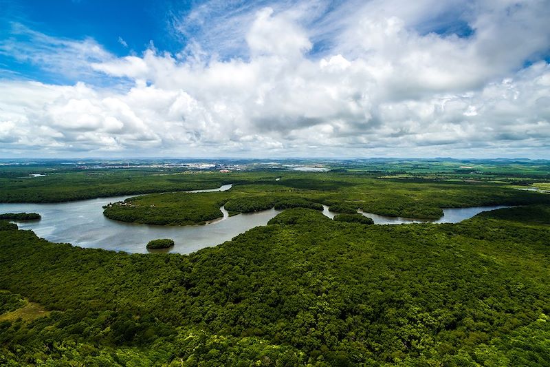 Amazonie - Brésil