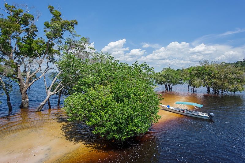 Le fleuve Amazone - Brésil