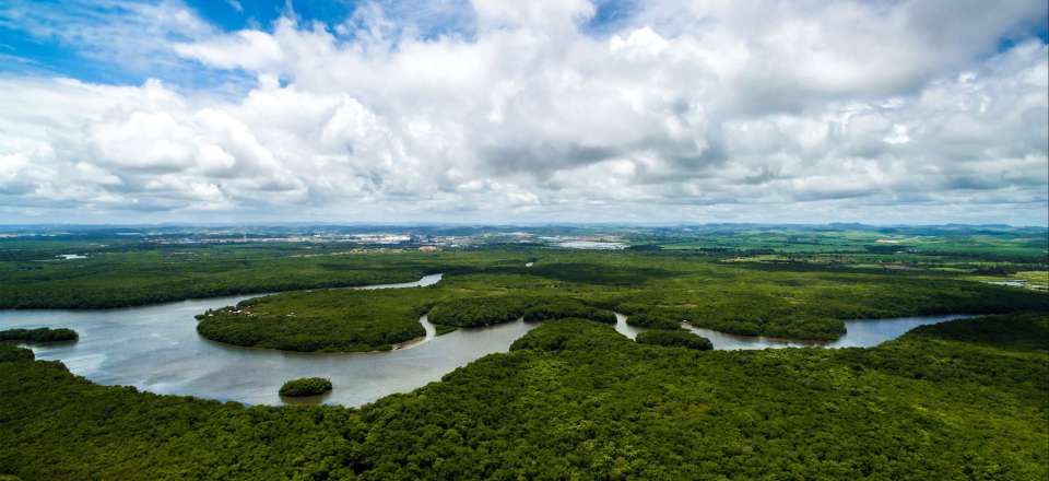 Au départ de Manaus, vous partirez cinq jours en croisière pour explorer le fleuve Rio Negro à bord d'un bateau traditionnel