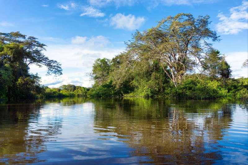 Croisière au fil de l'Amazone
