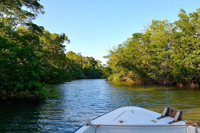 De Salvador à Jericoacoara, via São Luis et les paysages grandioses du Nordeste afro-brésilien... que beleza !