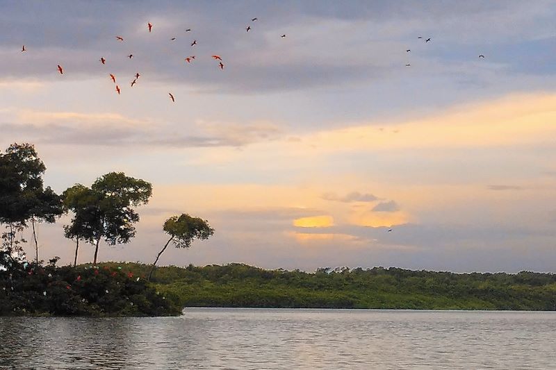 Delta de Parnaíba - État de Paraíba - Brésil