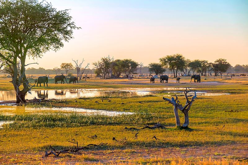 Parc national Hwange - Zimbawe