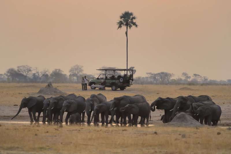 Croisière et safari en Afrique australe