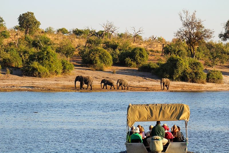 Voyage safari en camp amélioré avec sanitaires intégrés aux tentes: Chobe, Savuti, Moremi, Khwai et Delta de l'Okavango