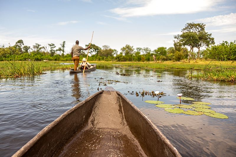 Voyage safari en camp amélioré avec sanitaires intégrés aux tentes: Chobe, Savuti, Moremi, Khwai et Delta de l'Okavango