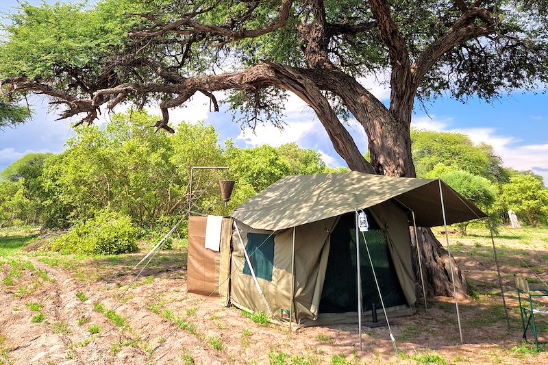 Voyage safari en camp amélioré avec sanitaires intégrés aux tentes: Chobe, Savuti, Moremi, Khwai et Delta de l'Okavango