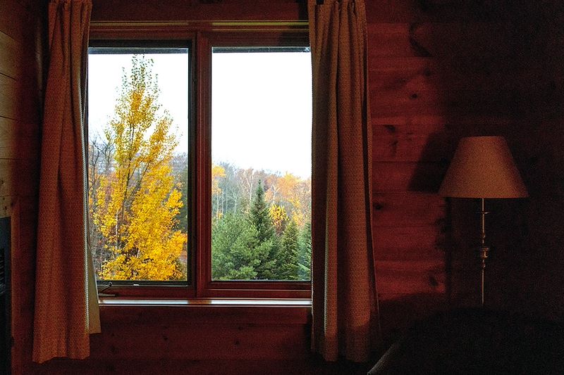 Vue sur une forêt en automne