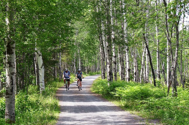 Cyclistes dans le Parc national de la Pointe-Taillon - Québec - Canada