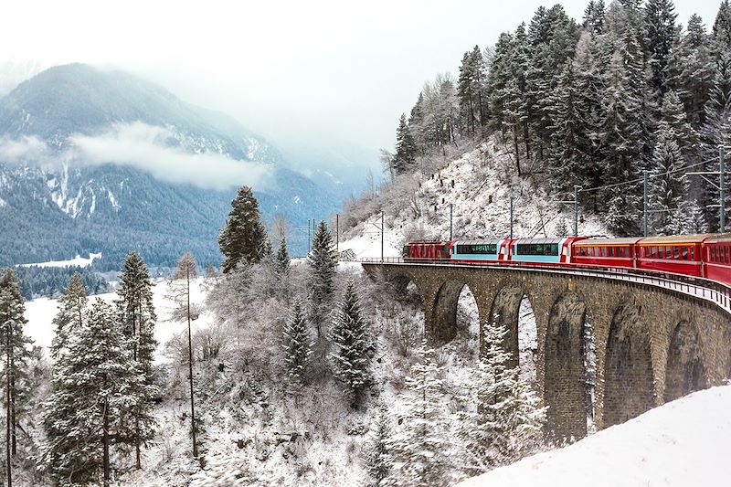 Vue du Glacier Express - Suisse