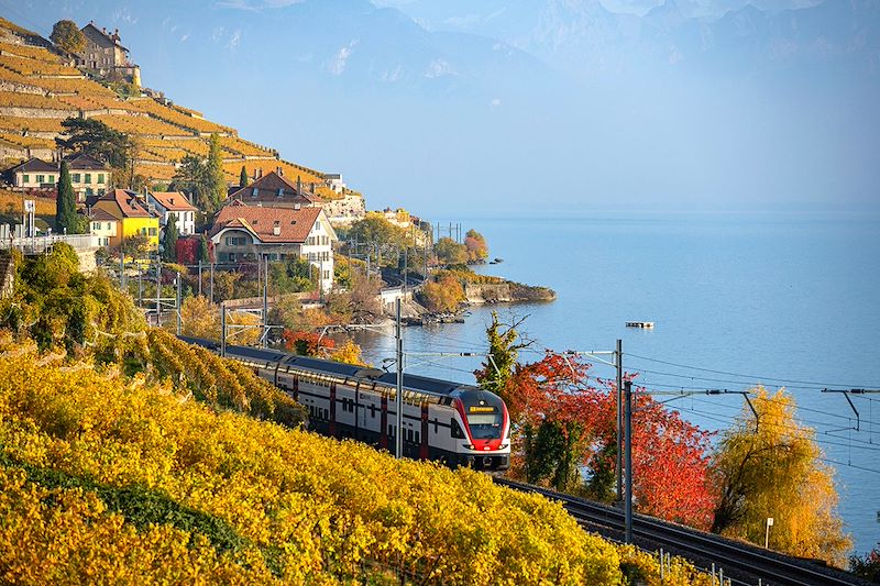 Détente en famille dès 2 ans sur les rives du lac Léman