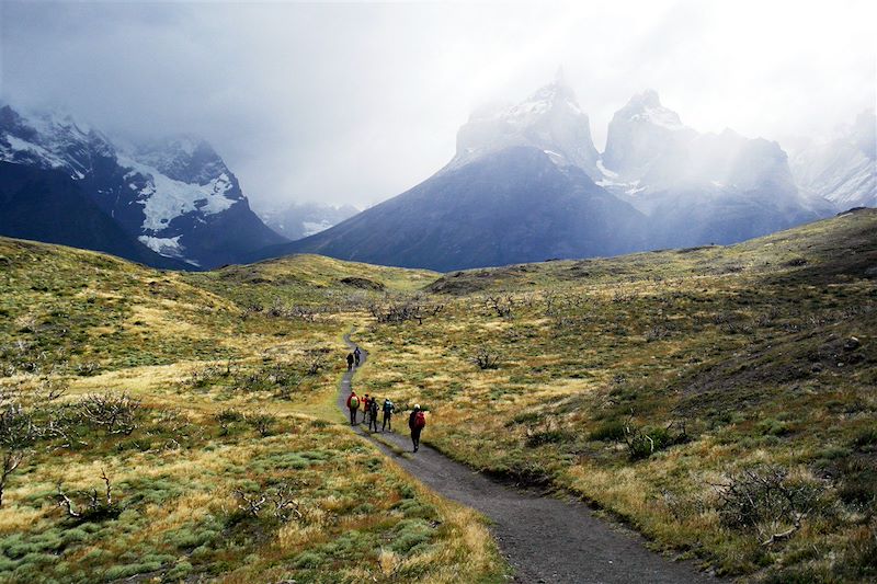 De la Patagonie à Ushuaïa, des randonnées en Terre de Feu, au Fitz Roy et le mythique trek W au parc Torres del Paine !