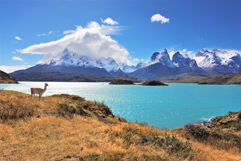 De la Patagonie à Ushuaïa, des randonnées en Terre de Feu, au Fitz Roy et le mythique trek W au parc Torres del Paine !