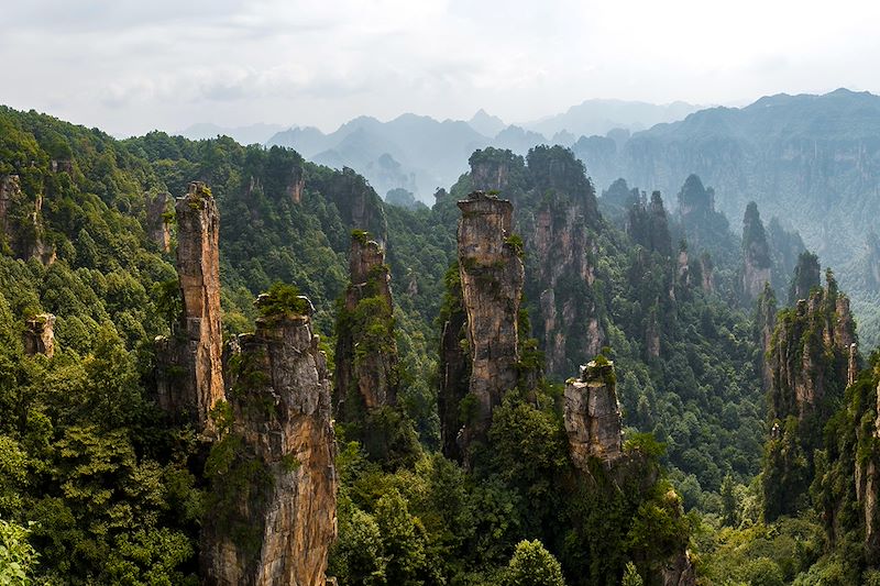 Embarquer à bord d’un voyage en train, entre Shanghai et Canton, pour explorer le patrimoine naturel d’une Chine riche en trésors 