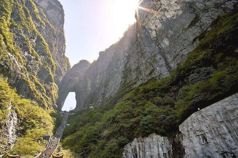 Embarquer à bord d’un voyage en train, entre Shanghai et Canton, pour explorer le patrimoine naturel d’une Chine riche en trésors 