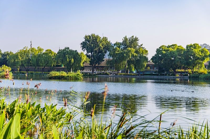 De Yunnan à Shanghai et de Xi'an à la Grande Muraille : immersion au cœur de l’histoire et des paysages chinois 