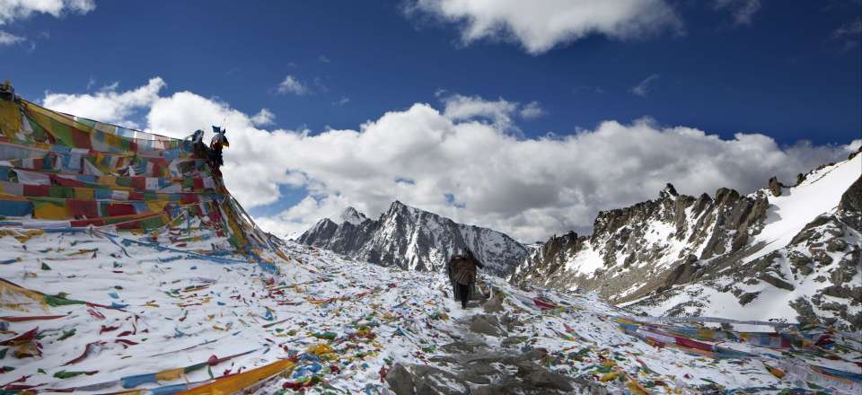 Trekking Kailash Tibet Kailash La Montagne Magique