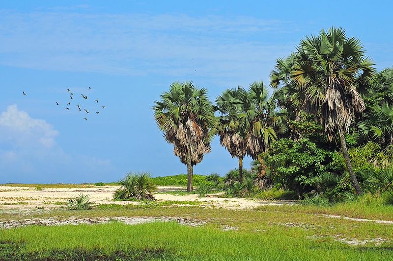 Un voyage immersif entre nature sauvage, culture locale et rencontres inoubliables