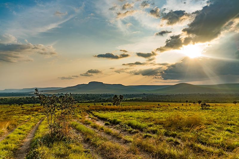 Un voyage immersif entre nature sauvage, culture locale et rencontres inoubliables