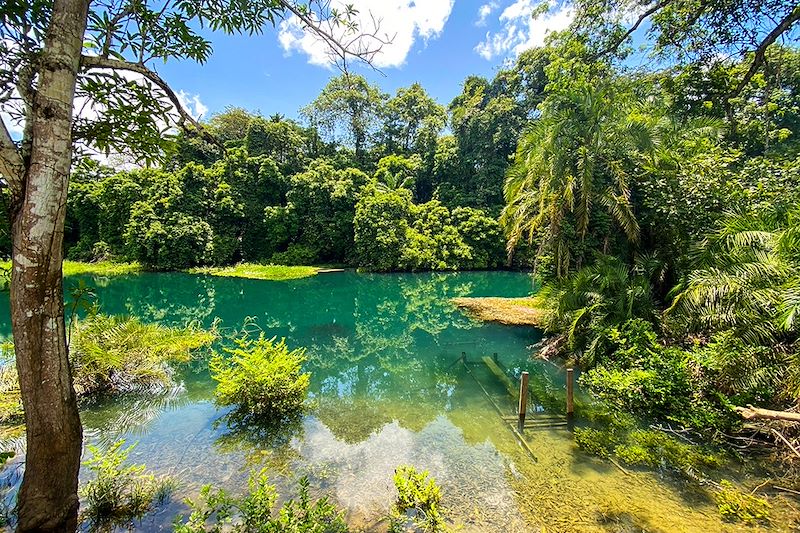 Un voyage immersif entre nature sauvage, culture locale et rencontres inoubliables