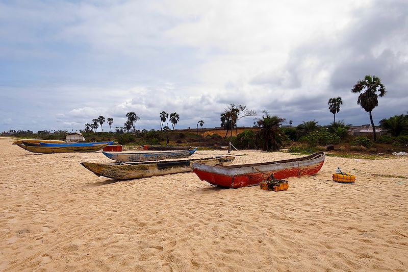 Un itinéraire unique pour explorer la biodiversité exceptionnelle et les trésors culturels du Congo.