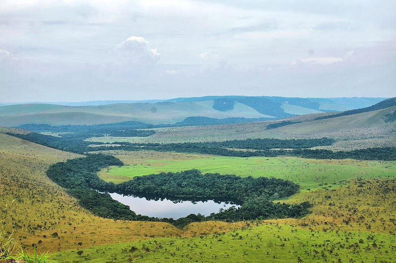 Un itinéraire unique pour explorer la biodiversité exceptionnelle et les trésors culturels du Congo.