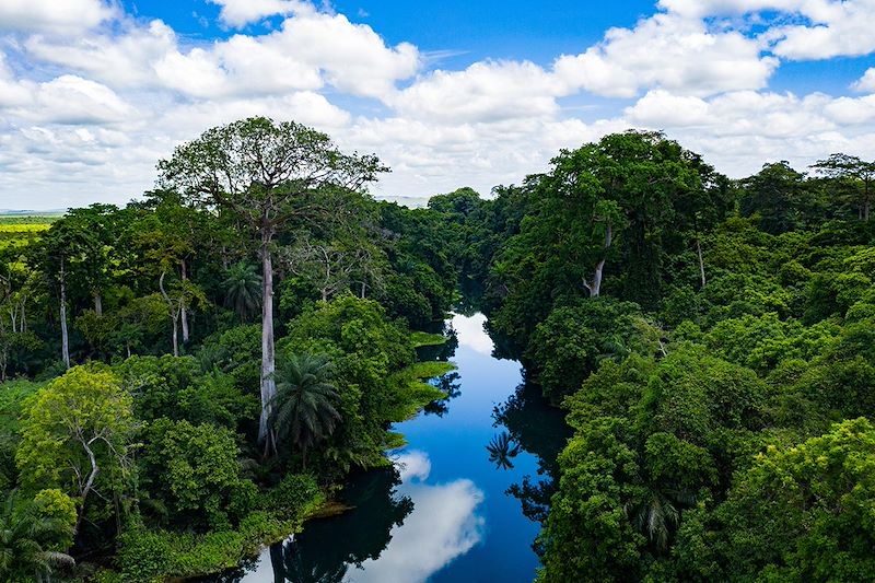 Un itinéraire unique pour explorer la biodiversité exceptionnelle et les trésors culturels du Congo.